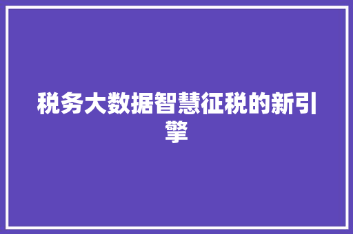 税务大数据智慧征税的新引擎  第1张