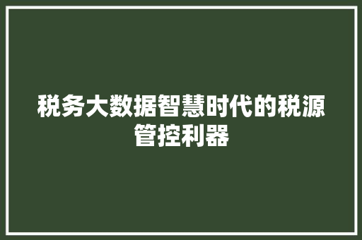 税务大数据智慧时代的税源管控利器  第1张