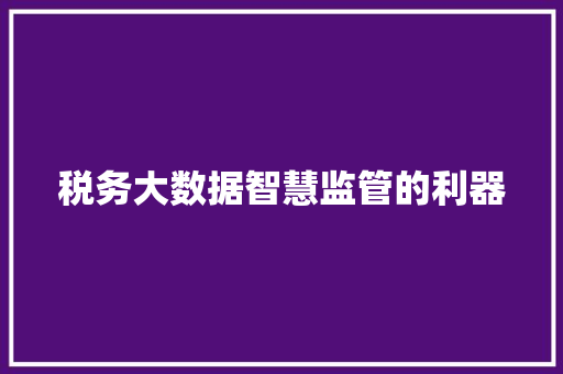 税务大数据智慧监管的利器  第1张