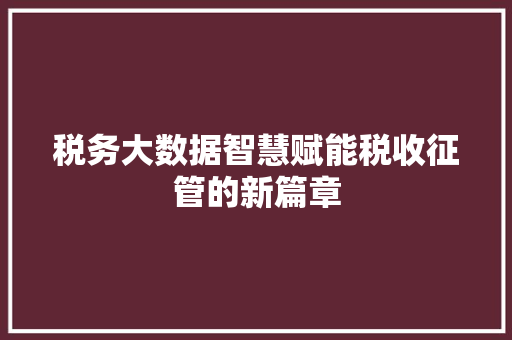 税务大数据智慧赋能税收征管的新篇章  第1张