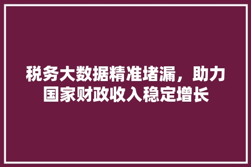 税务大数据精准堵漏，助力国家财政收入稳定增长  第1张