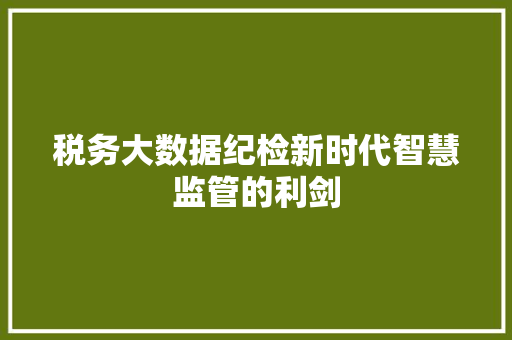 税务大数据纪检新时代智慧监管的利剑  第1张