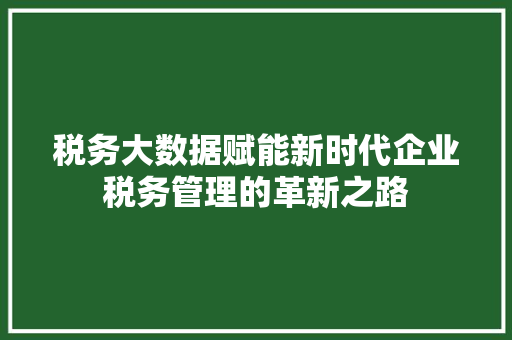 税务大数据赋能新时代企业税务管理的革新之路  第1张