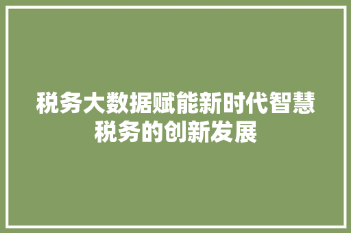 税务大数据赋能新时代智慧税务的创新发展  第1张