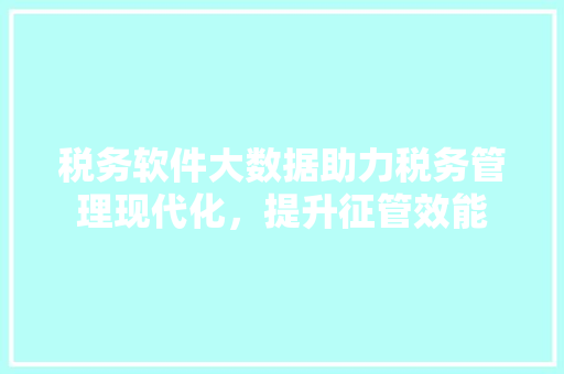 税务软件大数据助力税务管理现代化，提升征管效能  第1张