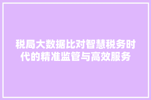 税局大数据比对智慧税务时代的精准监管与高效服务  第1张