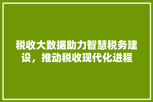 税收大数据助力智慧税务建设，推动税收现代化进程  第1张