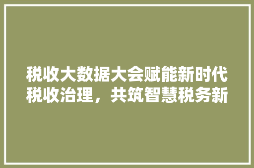税收大数据大会赋能新时代税收治理，共筑智慧税务新篇章  第1张