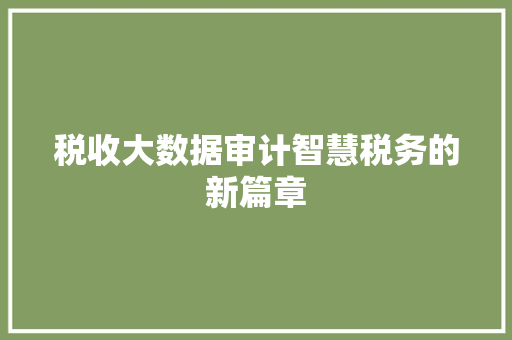 税收大数据审计智慧税务的新篇章  第1张