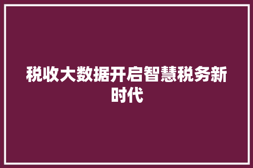 税收大数据开启智慧税务新时代  第1张