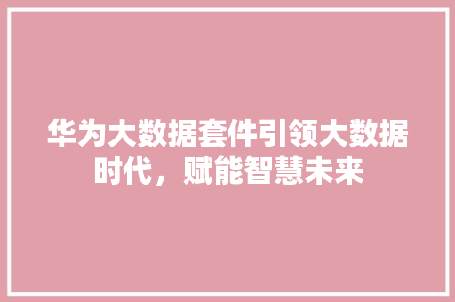 华为大数据套件引领大数据时代，赋能智慧未来  第1张