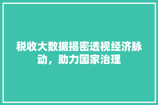 税收大数据揭密透视经济脉动，助力国家治理  第1张