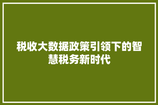 税收大数据政策引领下的智慧税务新时代  第1张