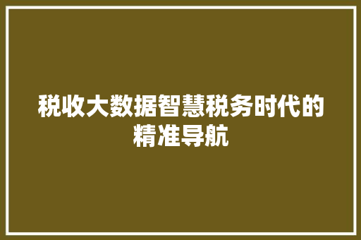 税收大数据智慧税务时代的精准导航  第1张
