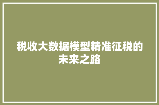 税收大数据模型精准征税的未来之路  第1张