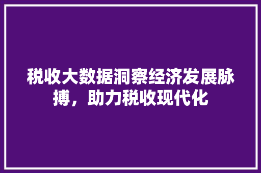 税收大数据洞察经济发展脉搏，助力税收现代化  第1张