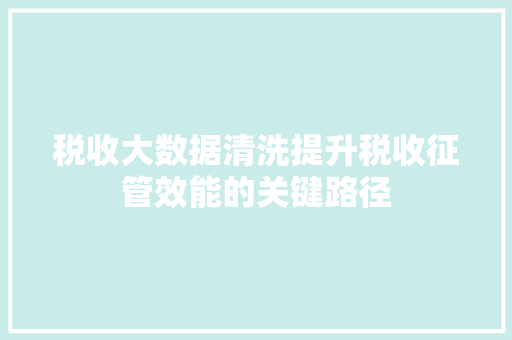 税收大数据清洗提升税收征管效能的关键路径  第1张