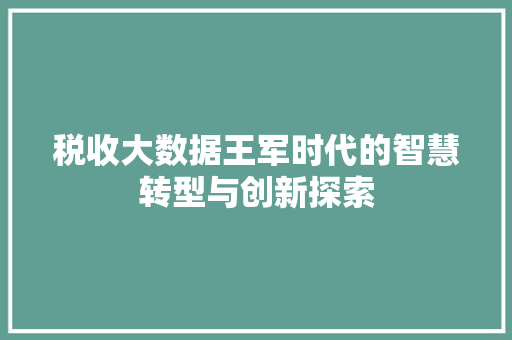 税收大数据王军时代的智慧转型与创新探索  第1张