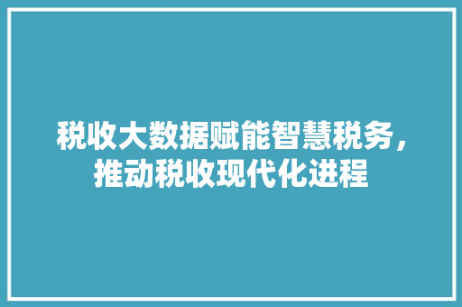 税收大数据赋能智慧税务，推动税收现代化进程  第1张