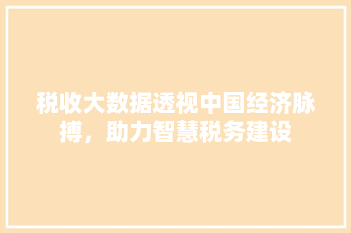 税收大数据透视中国经济脉搏，助力智慧税务建设  第1张