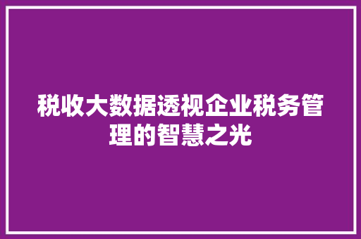 税收大数据透视企业税务管理的智慧之光  第1张