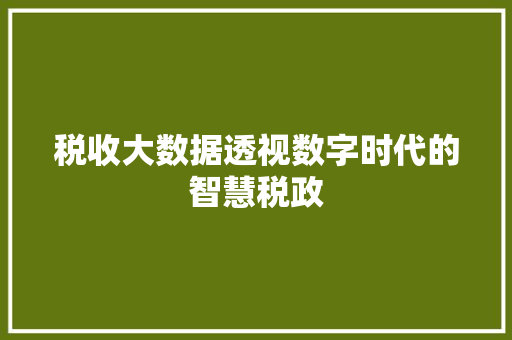 税收大数据透视数字时代的智慧税政  第1张