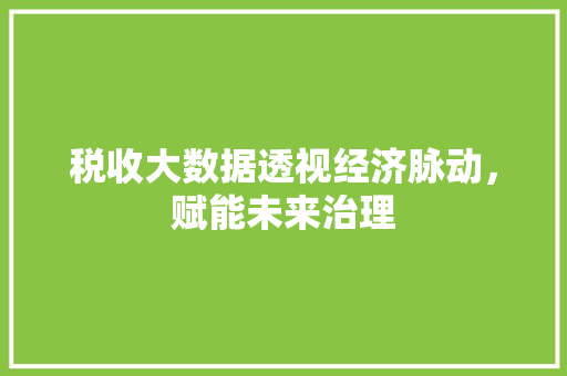 税收大数据透视经济脉动，赋能未来治理  第1张
