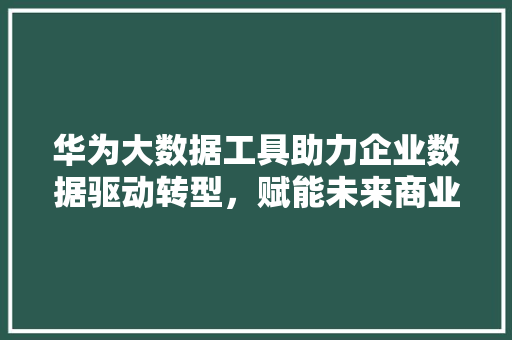 华为大数据工具助力企业数据驱动转型，赋能未来商业创新  第1张