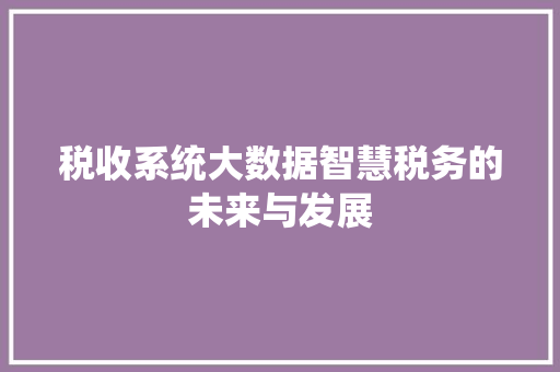 税收系统大数据智慧税务的未来与发展  第1张