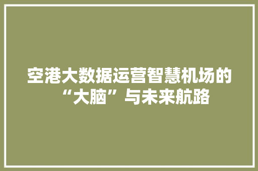 空港大数据运营智慧机场的“大脑”与未来航路