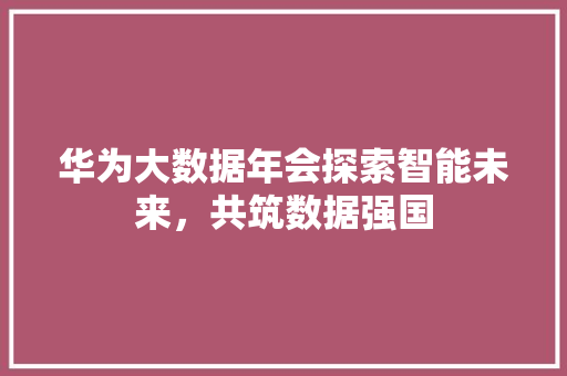 华为大数据年会探索智能未来，共筑数据强国  第1张
