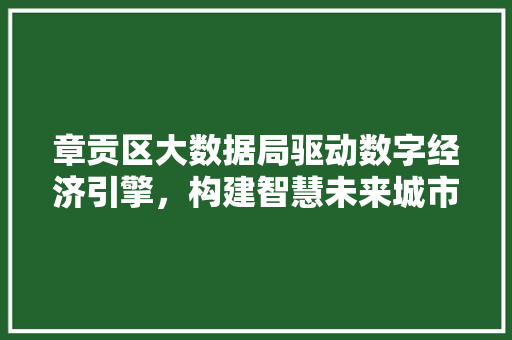 章贡区大数据局驱动数字经济引擎，构建智慧未来城市