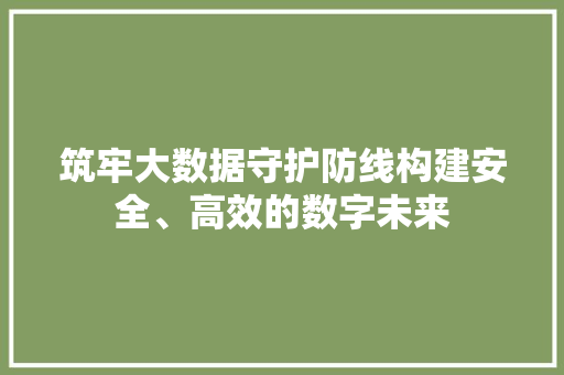 筑牢大数据守护防线构建安全、高效的数字未来  第1张