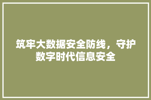 筑牢大数据安全防线，守护数字时代信息安全  第1张