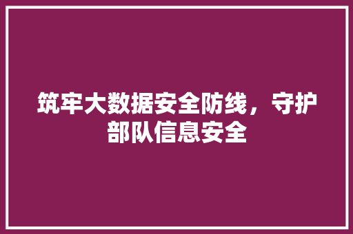 筑牢大数据安全防线，守护部队信息安全  第1张