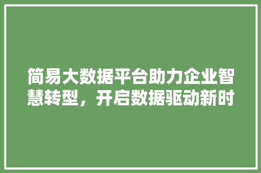 简易大数据平台助力企业智慧转型，开启数据驱动新时代