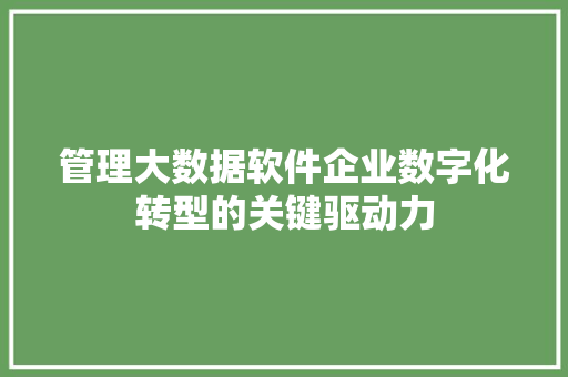 管理大数据软件企业数字化转型的关键驱动力  第1张