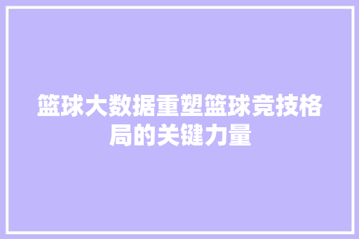 篮球大数据重塑篮球竞技格局的关键力量