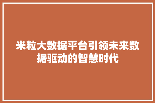 米粒大数据平台引领未来数据驱动的智慧时代