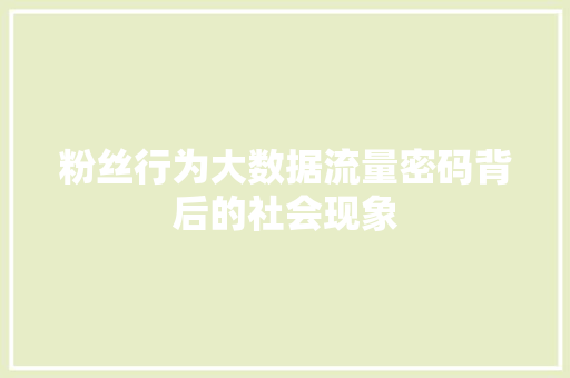 粉丝行为大数据流量密码背后的社会现象