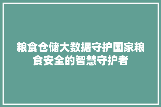 粮食仓储大数据守护国家粮食安全的智慧守护者