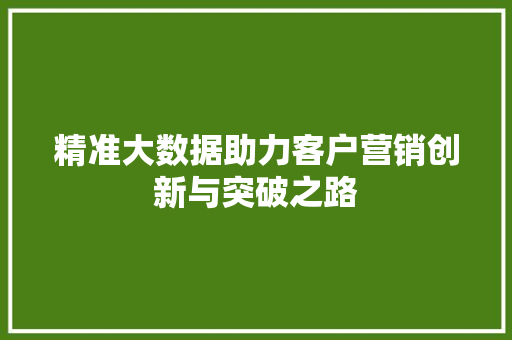 精准大数据助力客户营销创新与突破之路  第1张