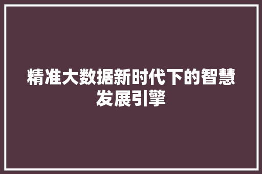 精准大数据新时代下的智慧发展引擎  第1张