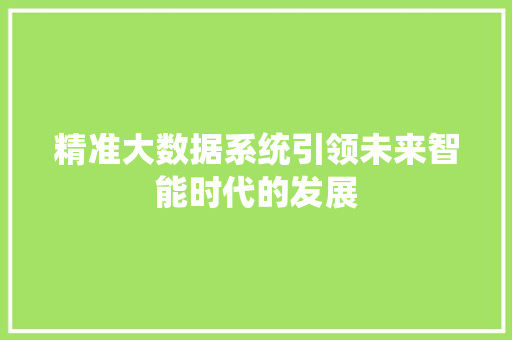 精准大数据系统引领未来智能时代的发展  第1张