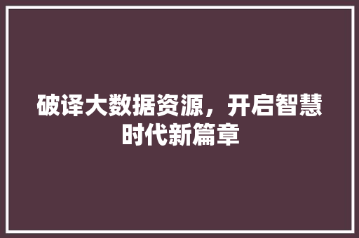 破译大数据资源，开启智慧时代新篇章