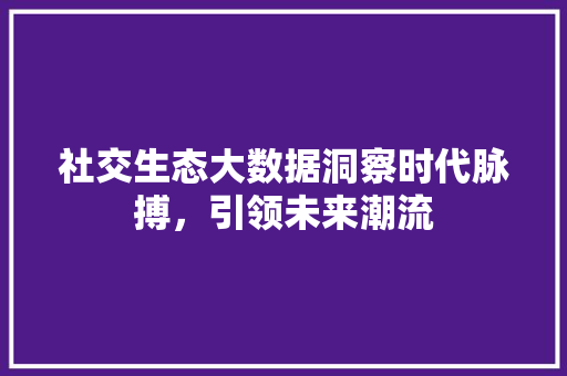 社交生态大数据洞察时代脉搏，引领未来潮流
