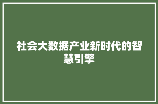 社会大数据产业新时代的智慧引擎  第1张