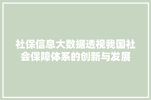 社保信息大数据透视我国社会保障体系的创新与发展  第1张