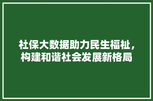 社保大数据助力民生福祉，构建和谐社会发展新格局  第1张
