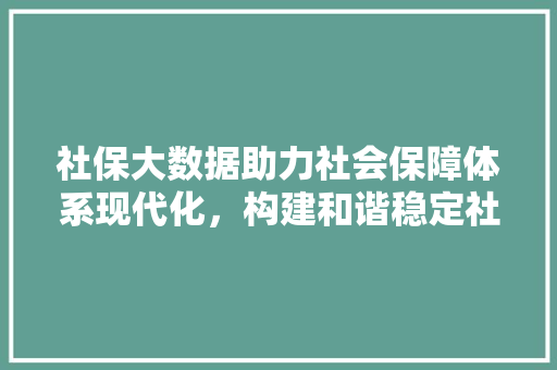 社保大数据助力社会保障体系现代化，构建和谐稳定社会  第1张